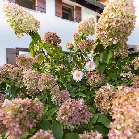 Ferienwohnung Alpenglueck Marktschellenberg Bagian luar foto