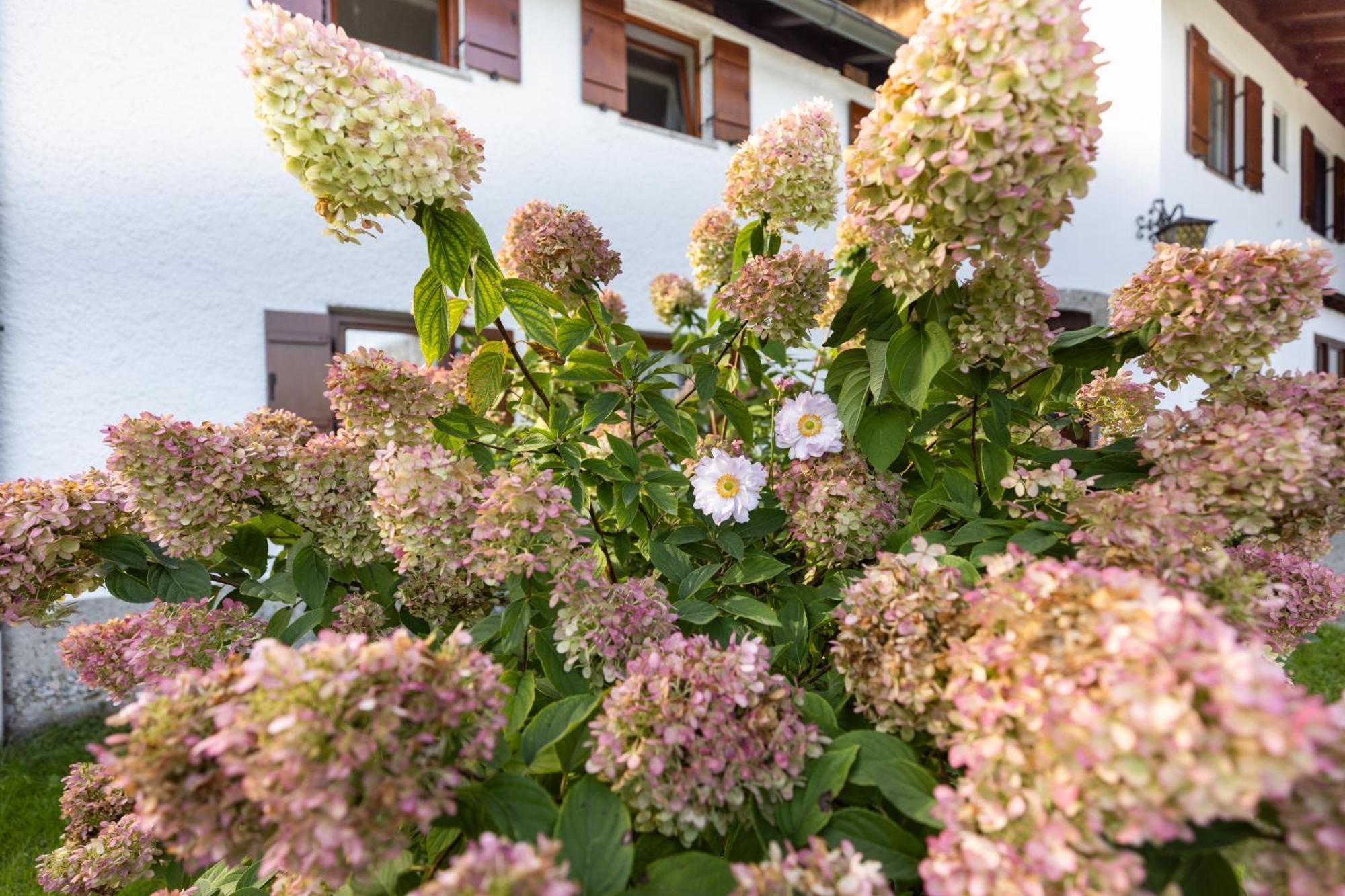 Ferienwohnung Alpenglueck Marktschellenberg Bagian luar foto