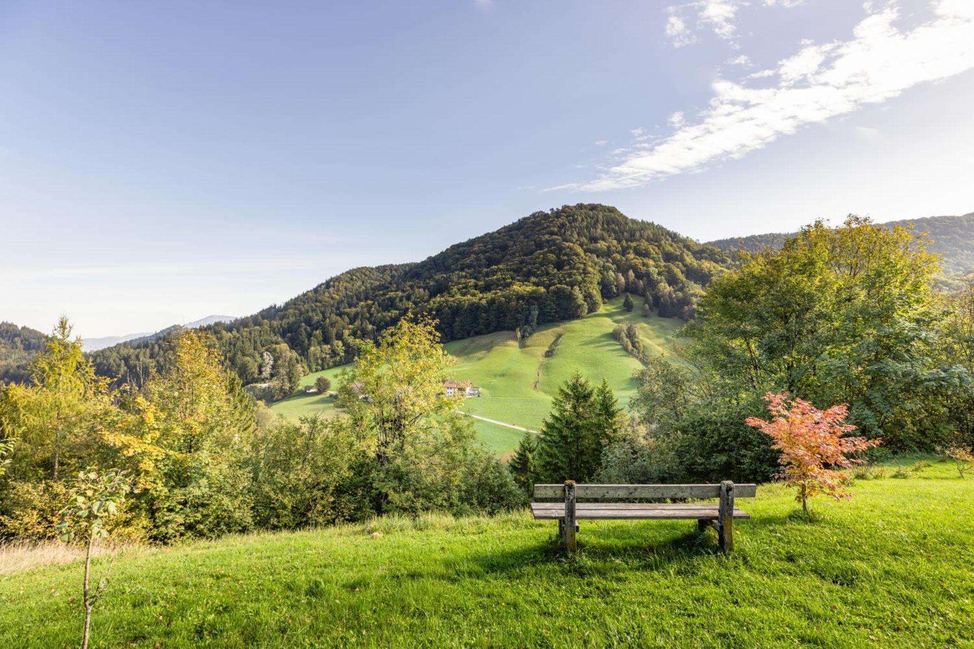 Ferienwohnung Alpenglueck Marktschellenberg Bagian luar foto