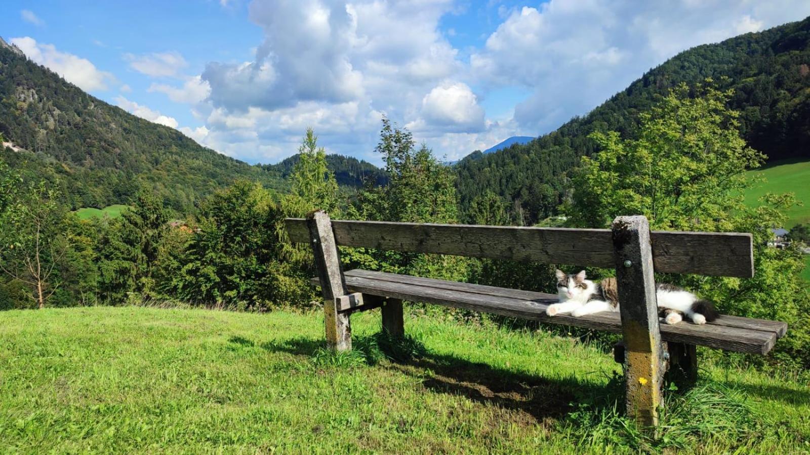 Ferienwohnung Alpenglueck Marktschellenberg Bagian luar foto